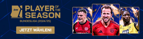 Now choose the Bundesliga 2024/25 season player